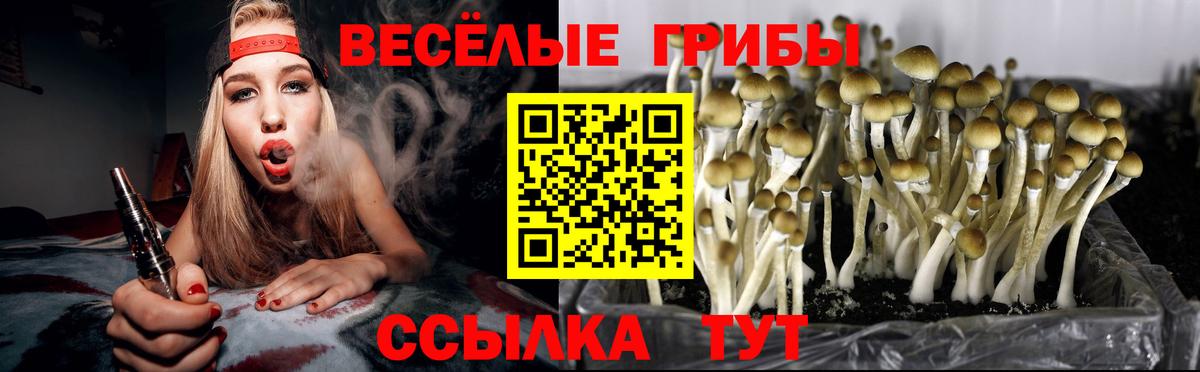 Галлюциногенные грибы Psilocybine cubensis  где купить наркоту  Сургут  Вход с VPN 